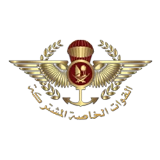 The Joint Special Forces